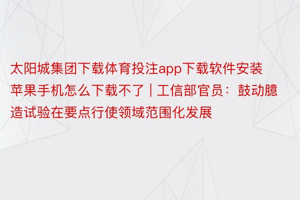 太阳城集团下载体育投注app下载软件安装苹果手机怎么下载不了 | 工信部官员：鼓动臆造试验在要点行使领域范围化发展