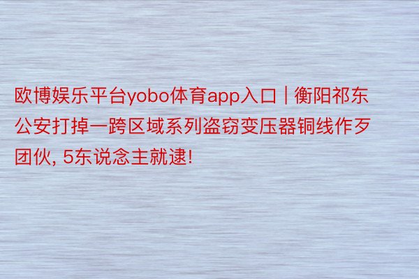 欧博娱乐平台yobo体育app入口 | 衡阳祁东公安打掉一跨区域系列盗窃变压器铜线作歹团伙, 5东说念主就逮!