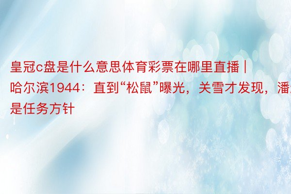 皇冠c盘是什么意思体育彩票在哪里直播 | 哈尔滨1944：直到“松鼠”曝光，关雪才发现，潘越是任务方针