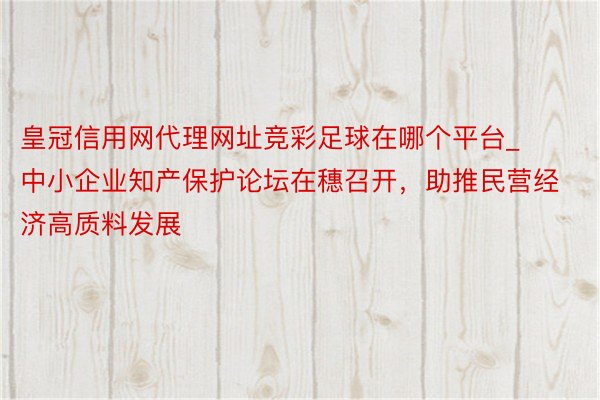 皇冠信用网代理网址竞彩足球在哪个平台_中小企业知产保护论坛在穗召开，助推民营经济高质料发展